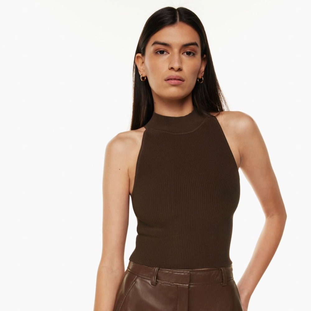 Aritzia Babaton
Sculpt Knit Mockneck Halter Top